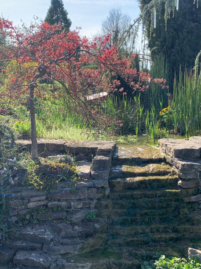 La Grenouillere Villa Caussade Bagian luar foto